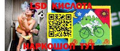 дмт Краснодар