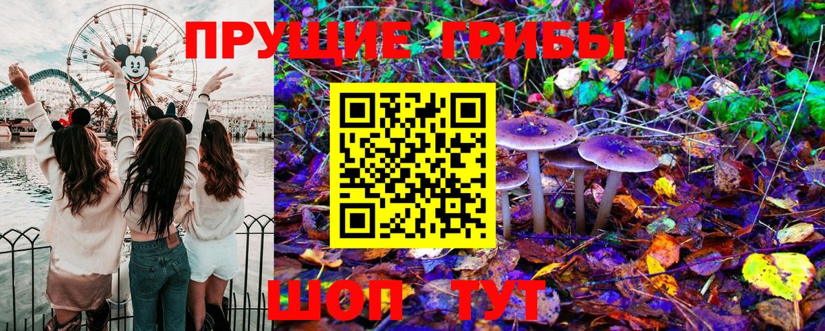 Галлюциногенные грибы MAGIC MUSHROOMS Волхов