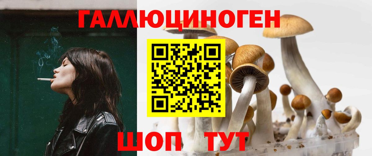 Псилоцибиновые грибы прущие грибы  Галлюциногенные грибы MAGIC MUSHROOMS  Волхов  Вход с VPN 